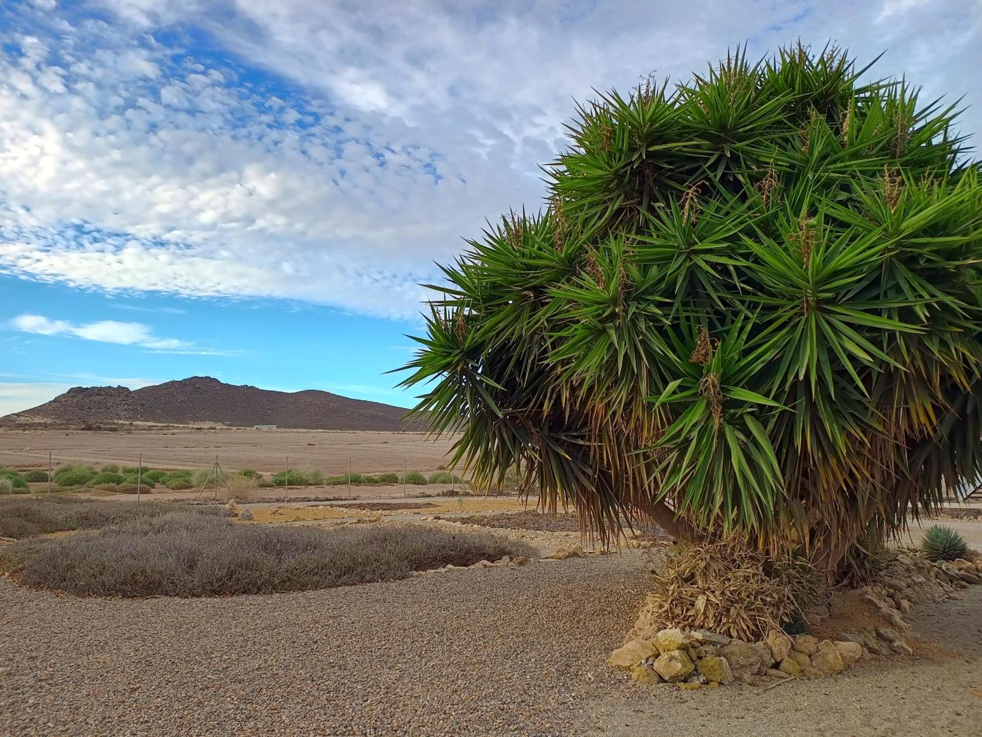 Апартаменти El Oasis Morado Лорка Екстер'єр фото